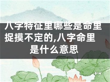 八字特征里哪些是命里捉摸不定的,八字命里是什么意思