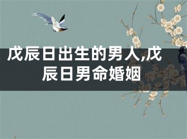 戊辰日出生的男人,戊辰日男命婚姻