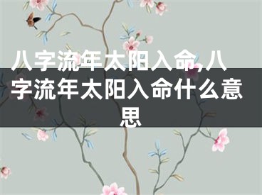 八字流年太阳入命,八字流年太阳入命什么意思