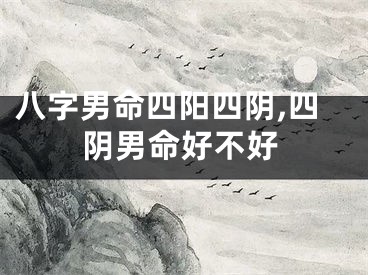 八字男命四阳四阴,四阴男命好不好