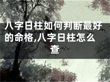 八字日柱如何判断最好的命格,八字日柱怎么查