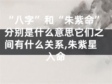 “八字”和“朱紫命”分别是什么意思它们之间有什么关系,朱紫星入命