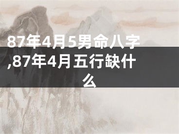 87年4月5男命八字,87年4月五行缺什么