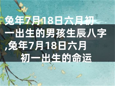 兔年7月18日六月初一出生的男孩生辰八字,兔年7月18日六月初一出生的命运