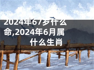 2024年67岁什么命,2024年6月属什么生肖