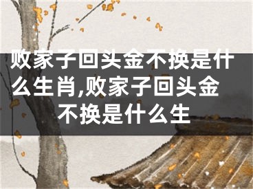 败家子回头金不换是什么生肖,败家子回头金不换是什么生