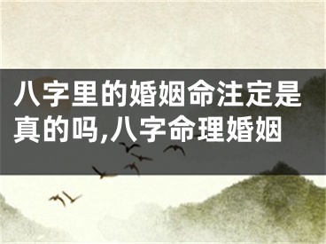 八字里的婚姻命注定是真的吗,八字命理婚姻