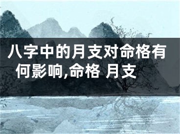 八字中的月支对命格有何影响,命格 月支