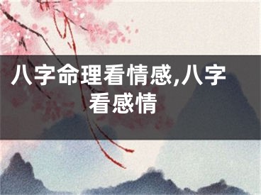 八字命理看情感,八字 看感情