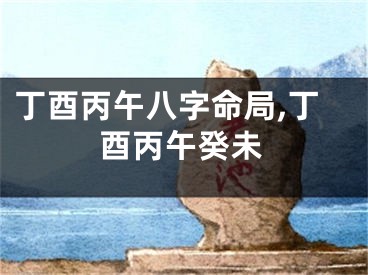 丁酉丙午八字命局,丁酉丙午癸未