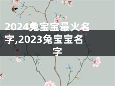 2024兔宝宝最火名字,2023兔宝宝名字