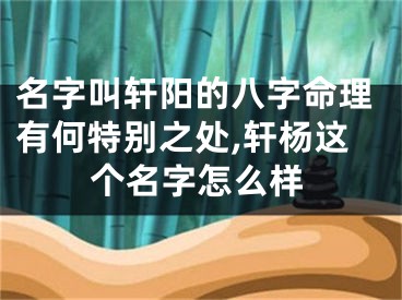 名字叫轩阳的八字命理有何特别之处,轩杨这个名字怎么样