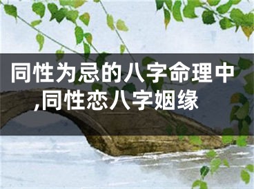 同性为忌的八字命理中,同性恋八字姻缘