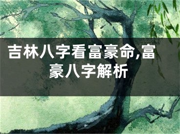 吉林八字看富豪命,富豪八字解析
