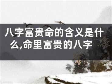 八字富贵命的含义是什么,命里富贵的八字