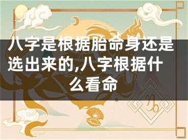 八字是根据胎命身还是选出来的,八字根据什么看命
