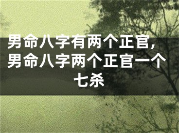 男命八字有两个正官,男命八字两个正官一个七杀