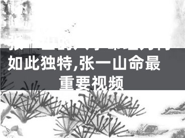 张一山的八字命理为何如此独特,张一山命最重要视频