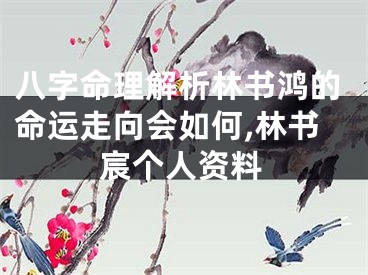 八字命理解析林书鸿的命运走向会如何,林书宸个人资料
