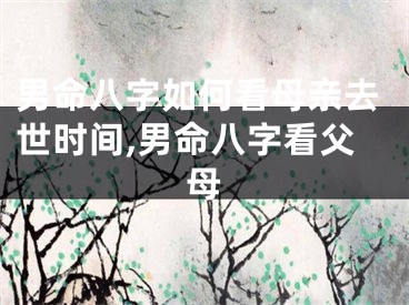 男命八字如何看母亲去世时间,男命八字看父母