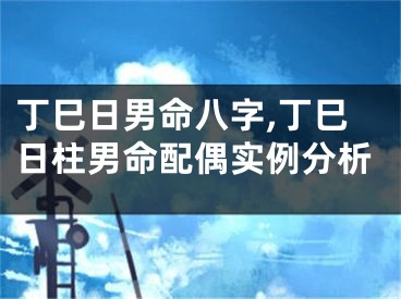 丁巳日男命八字,丁巳日柱男命配偶实例分析