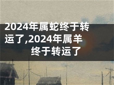 2024年属蛇终于转运了,2024年属羊终于转运了