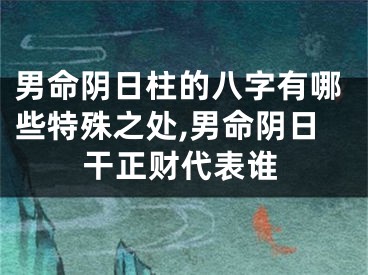 男命阴日柱的八字有哪些特殊之处,男命阴日干正财代表谁