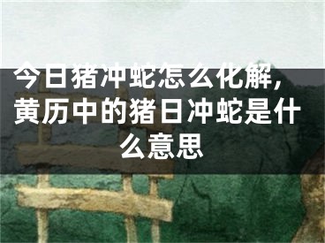 今日猪冲蛇怎么化解,黄历中的猪日冲蛇是什么意思