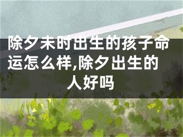 除夕未时出生的孩子命运怎么样,除夕出生的人好吗