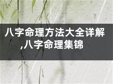 八字命理方法大全详解,八字命理集锦