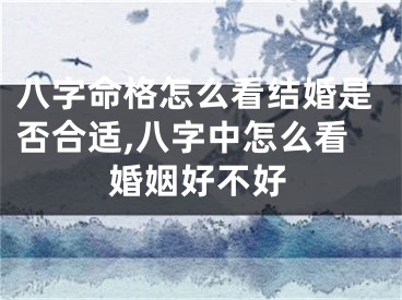 八字命格怎么看结婚是否合适,八字中怎么看婚姻好不好