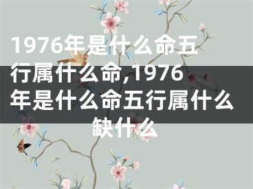1976年是什么命五行属什么命,1976年是什么命五行属什么缺什么