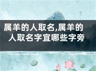 属羊的人取名,属羊的人取名字宜哪些字旁