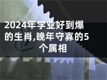 2024年学业好到爆的生肖,晚年守寡的5个属相