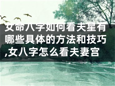 女命八字如何看夫星有哪些具体的方法和技巧,女八字怎么看夫妻宫