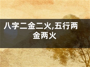 八字二金二火,五行两金两火