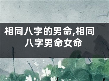 相同八字的男命,相同八字男命女命