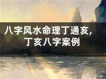 八字风水命理丁通亥,丁亥八字案例