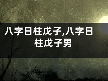 八字日柱戊子,八字日柱戊子男