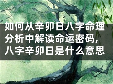 如何从辛卯日八字命理分析中解读命运密码,八字辛卯日是什么意思