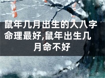 鼠年几月出生的人八字命理最好,鼠年出生几月命不好
