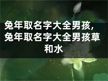 兔年取名字大全男孩,兔年取名字大全男孩草和水