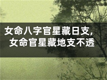 女命八字官星藏日支,女命官星藏地支不透