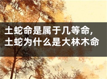 土蛇命是属于几等命,土蛇为什么是大林木命