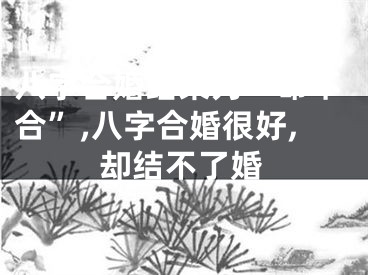 八字合婚结果为“命不合”,八字合婚很好,却结不了婚
