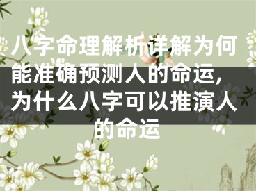 八字命理解析详解为何能准确预测人的命运,为什么八字可以推演人的命运