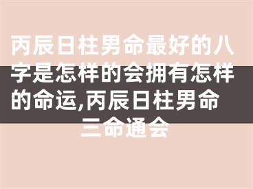 丙辰日柱男命最好的八字是怎样的会拥有怎样的命运,丙辰日柱男命三命通会