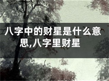 八字中的财星是什么意思,八字里财星