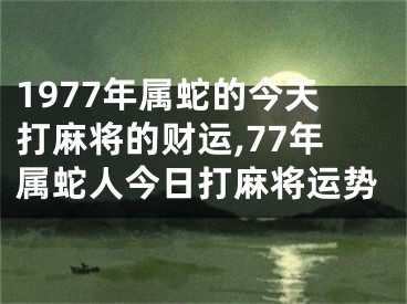 1977年属蛇的今天打麻将的财运,77年属蛇人今日打麻将运势