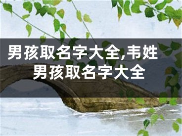 男孩取名字大全,韦姓男孩取名字大全
